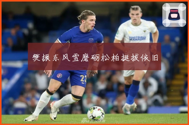 樊振东风雪磨砺松柏挺拔依旧