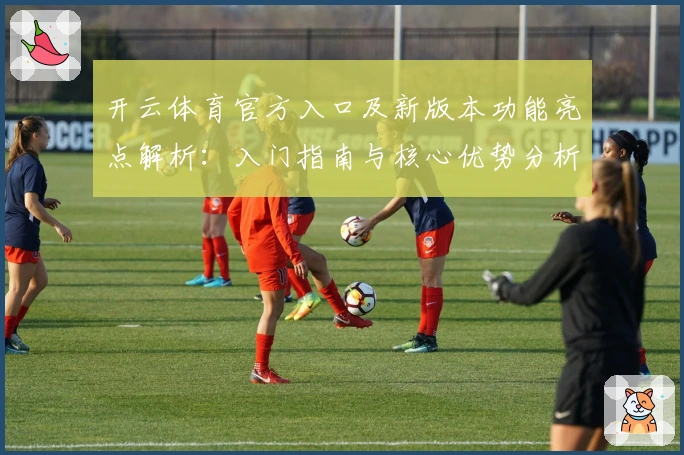 开云体育官方入口及新版本功能亮点解析:入门指南与核心优势分析