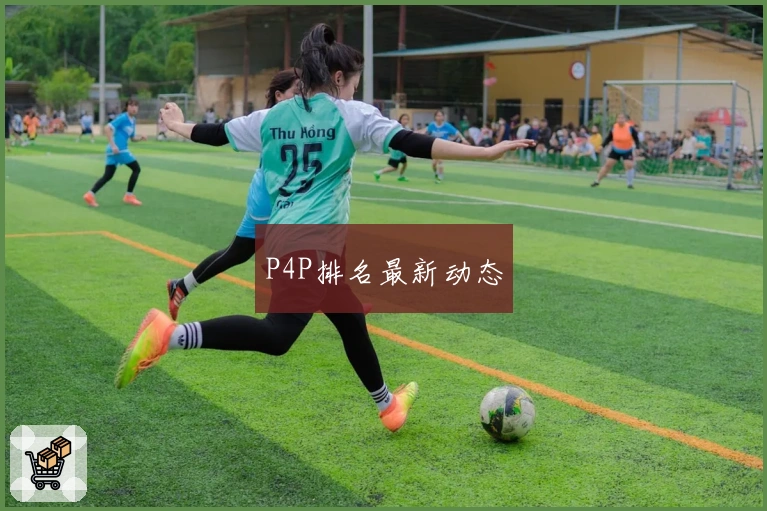 P4P排名最新动态