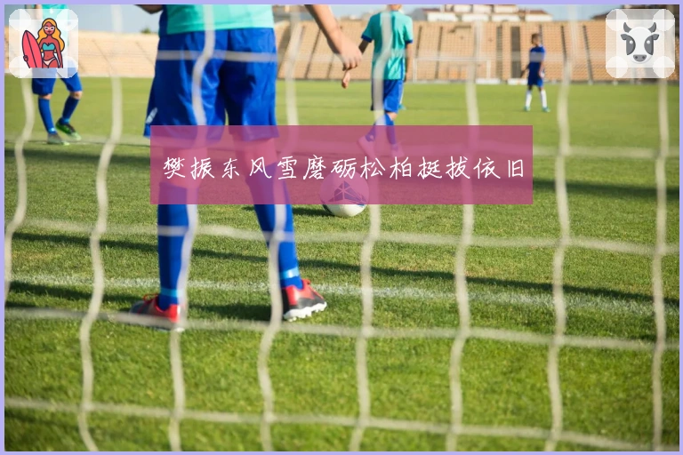 樊振东风雪磨砺松柏挺拔依旧